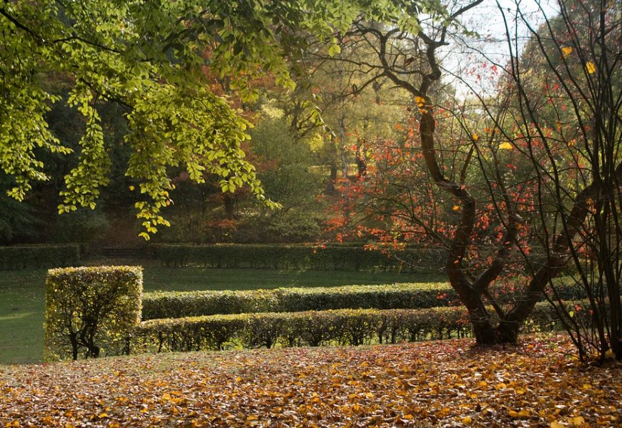 Få din drømmehave med hjælp fra anlægsgartner i Roskilde Få din drømmehave med hjælp fra anlægsgartner i Roskilde
